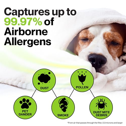 Durabasics HEPA Filters for Honeywell Air Purifiers - 3 Pack, Compatible with HPA300 & HRF-R3, Replacement Filter for Ho